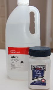 Two of my best cleaning friends