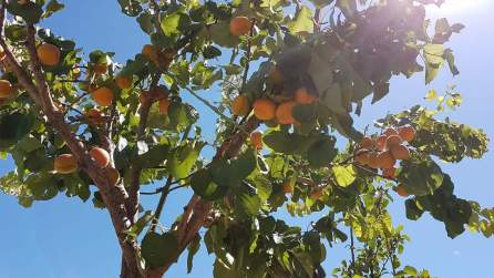 fb_img_1480486878300